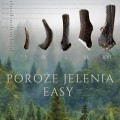 poroża easy (4).jpg