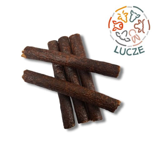 Kopia – płuca koń logo.jpg