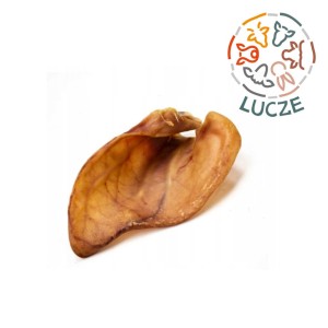 Ucho wieprzowe 1szt.