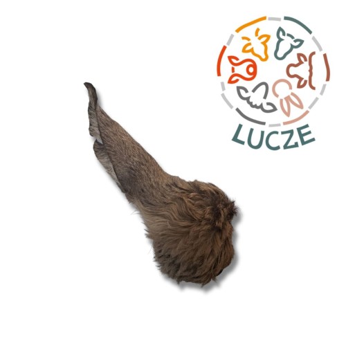 ucho jelenia XXL.jpg