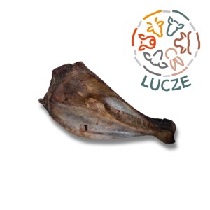 Kość łopatkowa z dzika 2 szt.