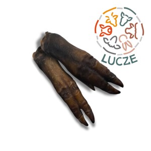 Noga dzika bez sierści 3 szt.