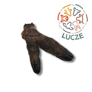 Noga dzika z sierścią 3 szt.