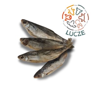 Płoć suszona 100g