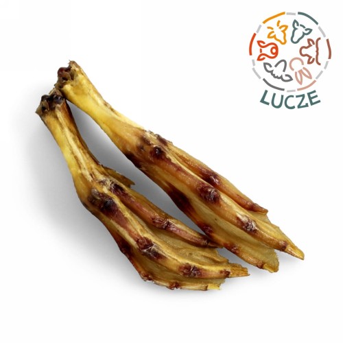 lapki z kaczki_duo.jpg