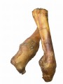 stopa końska.jpg
