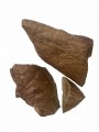 płuca koń1.jpg