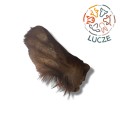 ucho wołowe zs logo.jpg