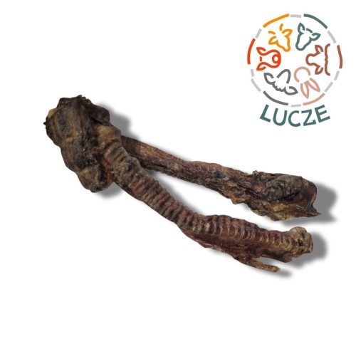 tchawica jagnieca.jpg